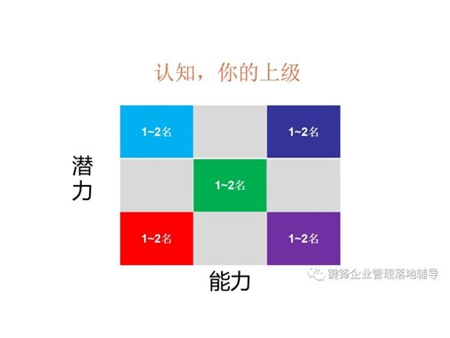 如何运用向上管理与下属培育？